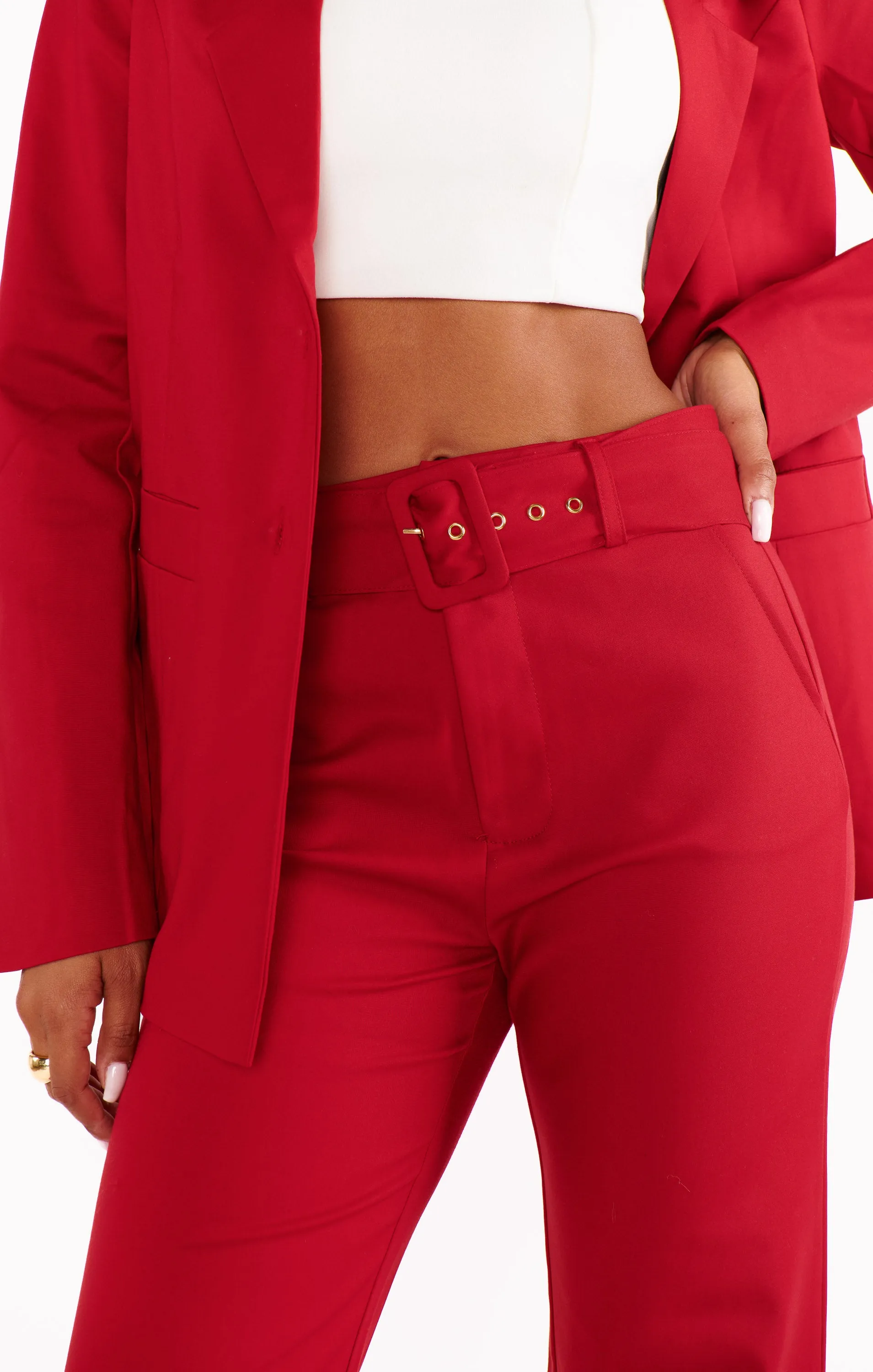 DJ Cropped Pants ~ Red Suiting