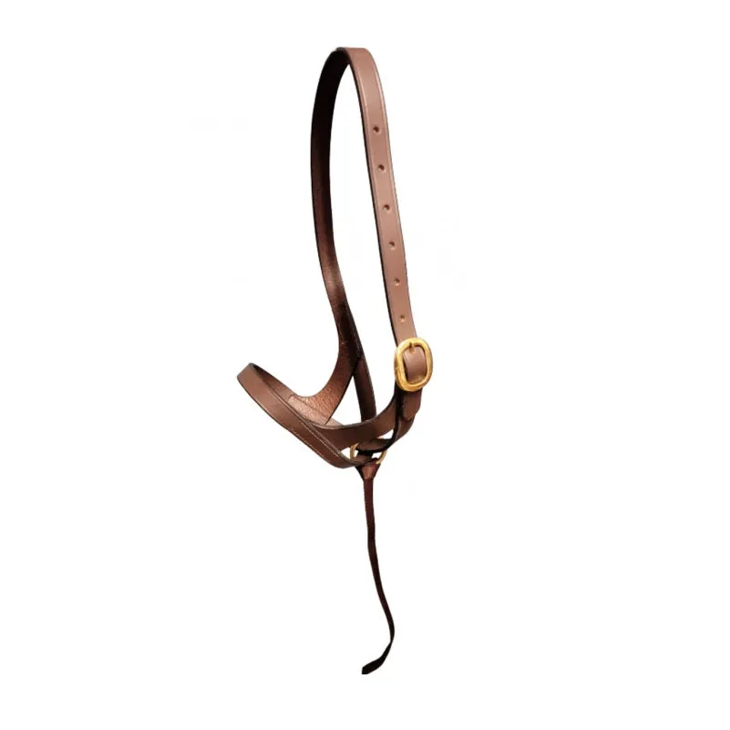 Foal Slip Halter