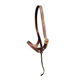 Foal Slip Halter