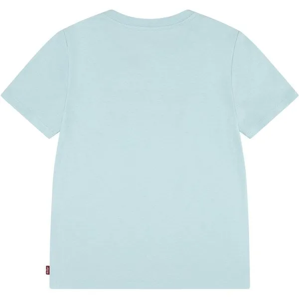 Levi's Batwing T-Shirt Icy Morn