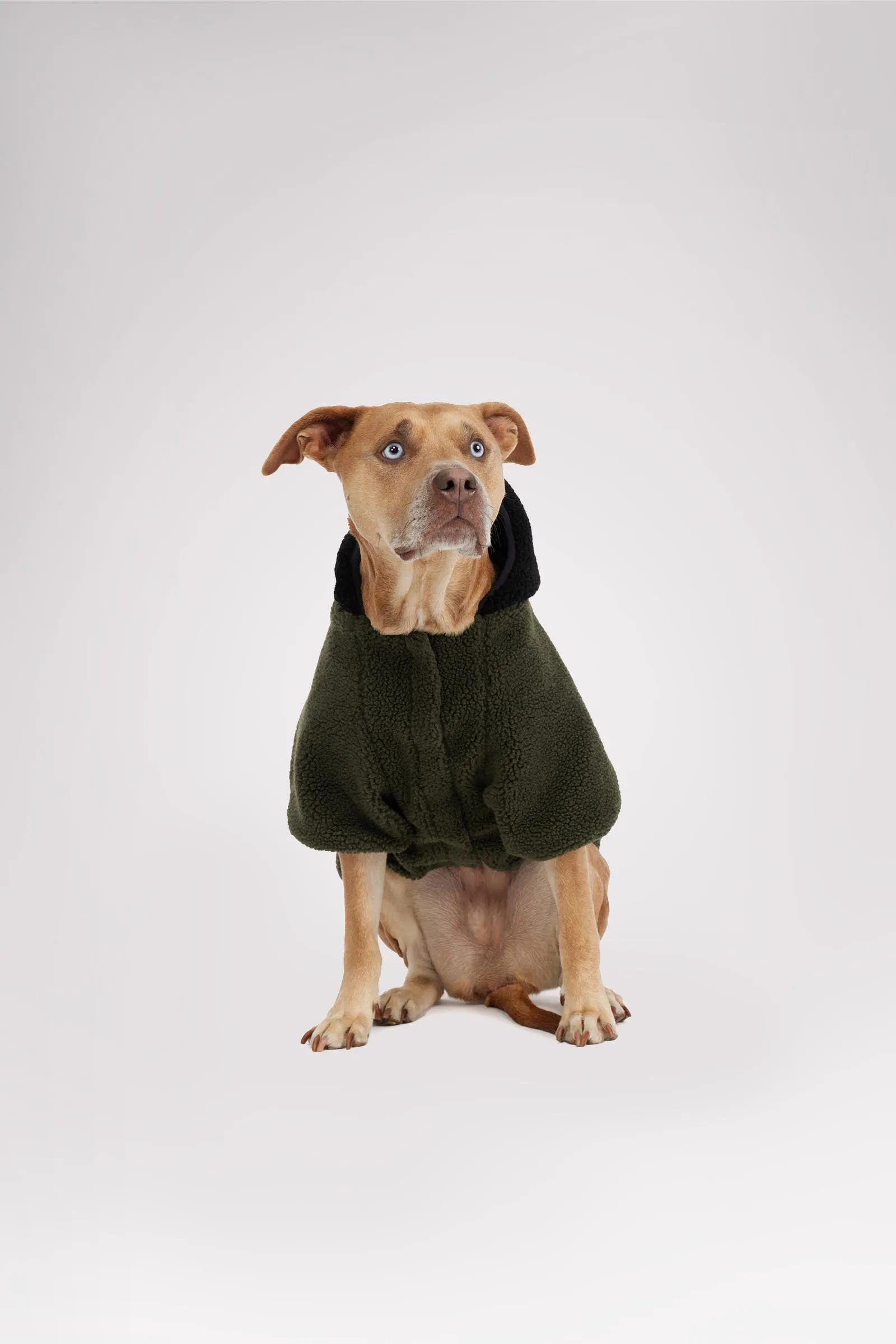 Max Jacket w/Hood for Dogs