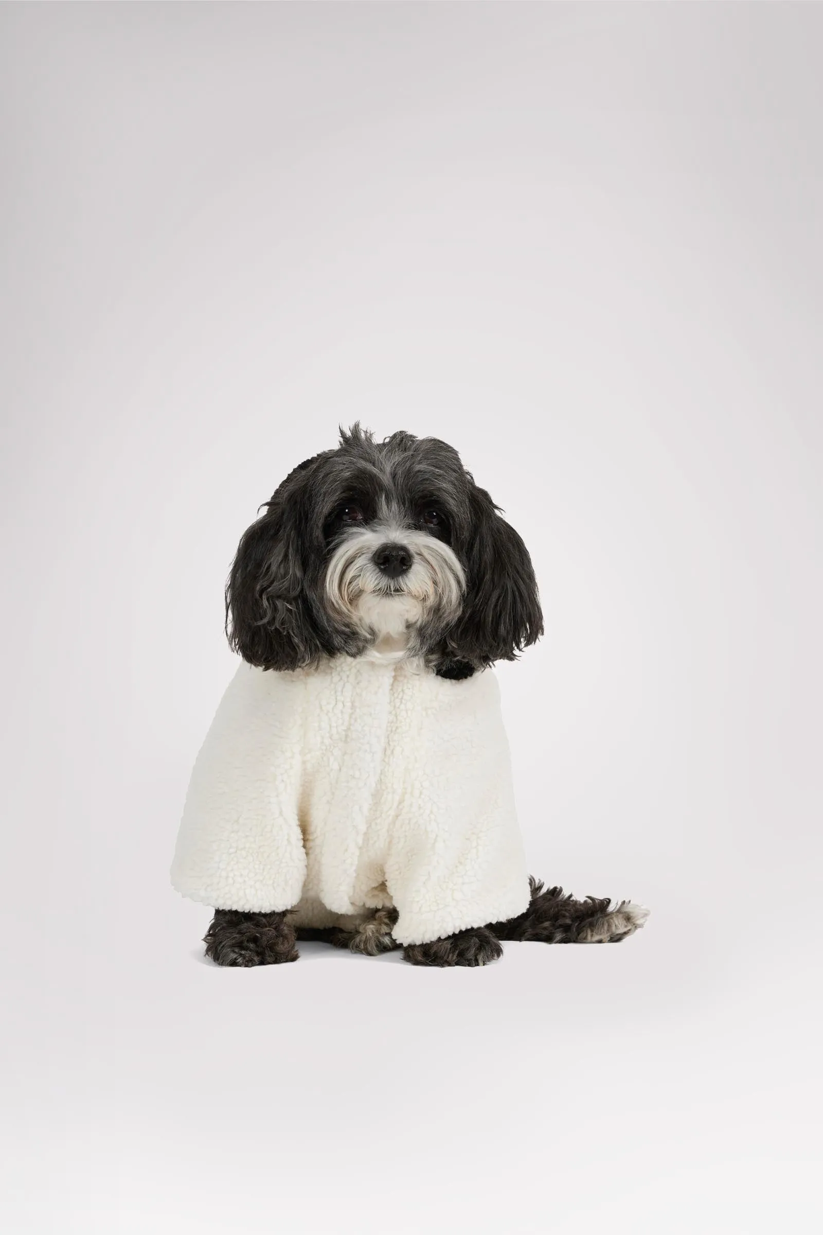 Max Jacket w/Hood for Dogs