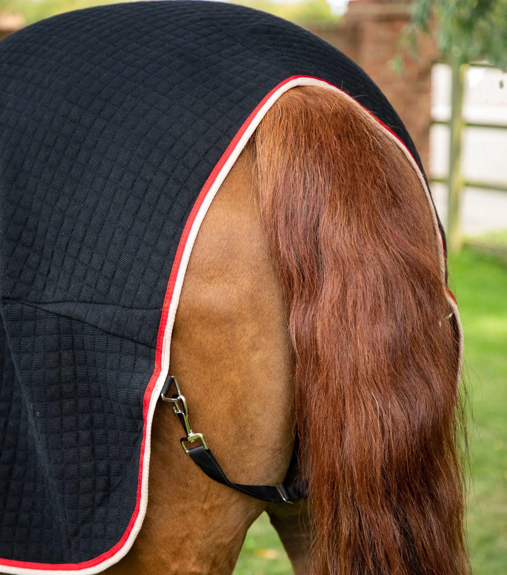 PremTex Horse Cooler Rug Black