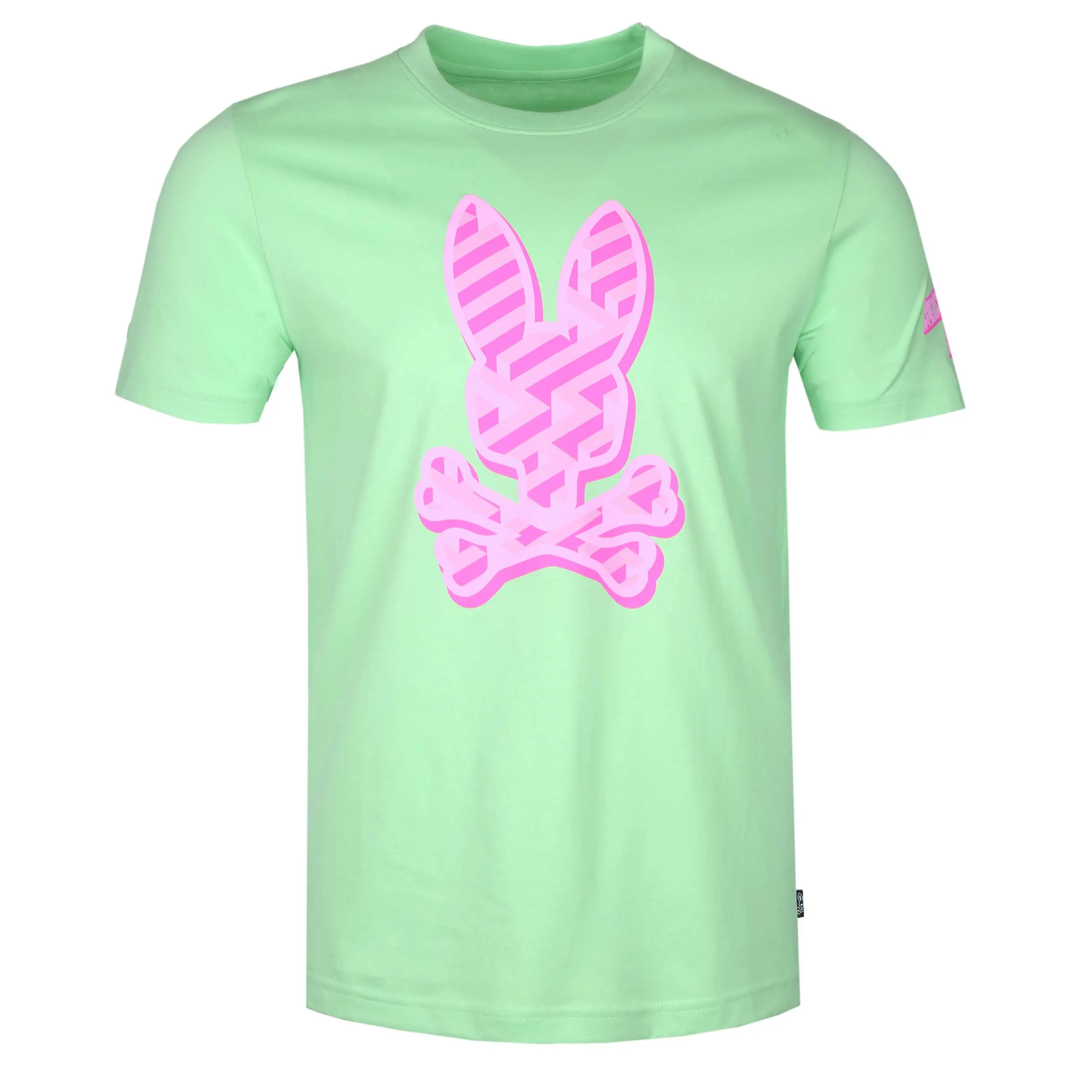 Psycho Bunny Pisani Graphic T Shirt in Icy Mint