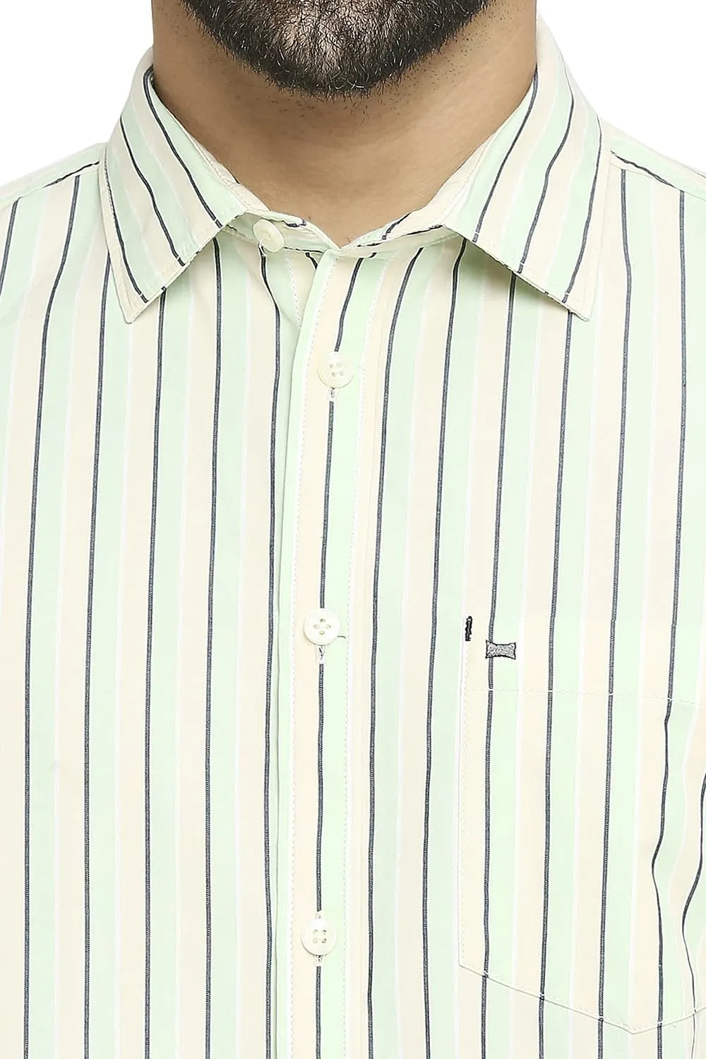 Slim Fit Cotton Polyester Stripe Halfsleeves Shirt