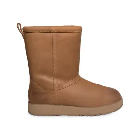 UGG Classic Short Leather Waterproof Chestnut Boots - Women's